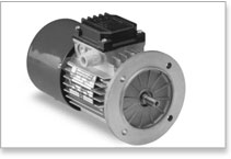 MGM BM Series B5 Motor